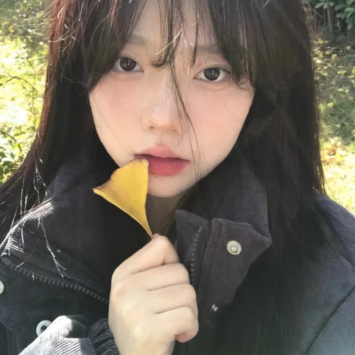 灵域第六季